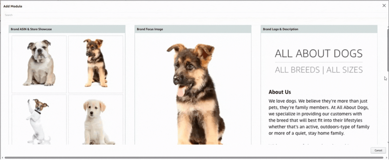 modules for brand story amazon a+ content