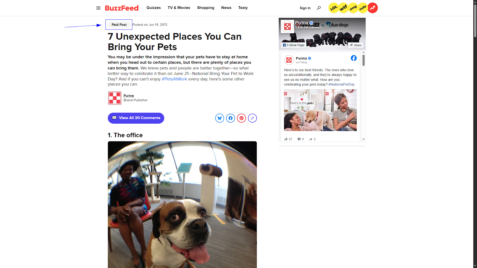 native ad examples Buzzfeed X Purina