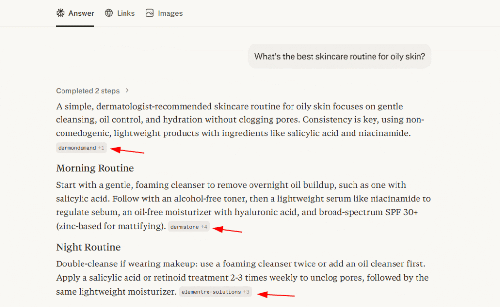 Example of AI Citation